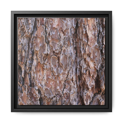 Woody Layers - Unique Stretched Canvas Wall Art - Art By Earth