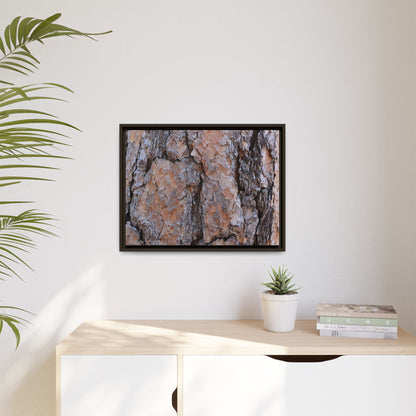 Tree Skin Symphony - Unique Stretched Canvas Wall Art - Art By Earth