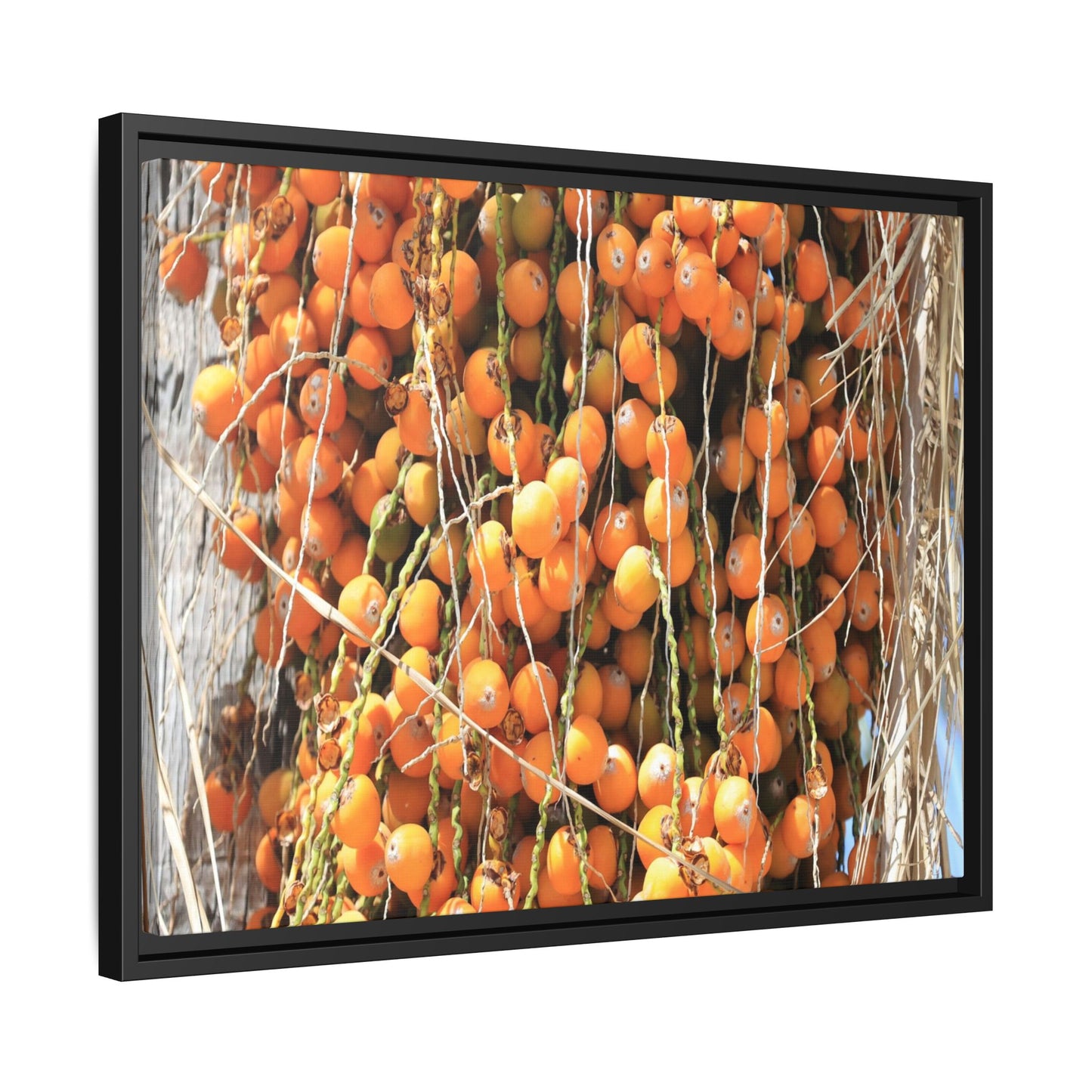 Clusters of Sunlight - Unique Canvas Wall Art - Art By Earth