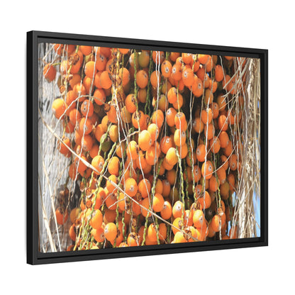 Clusters of Sunlight - Unique Canvas Wall Art - Art By Earth