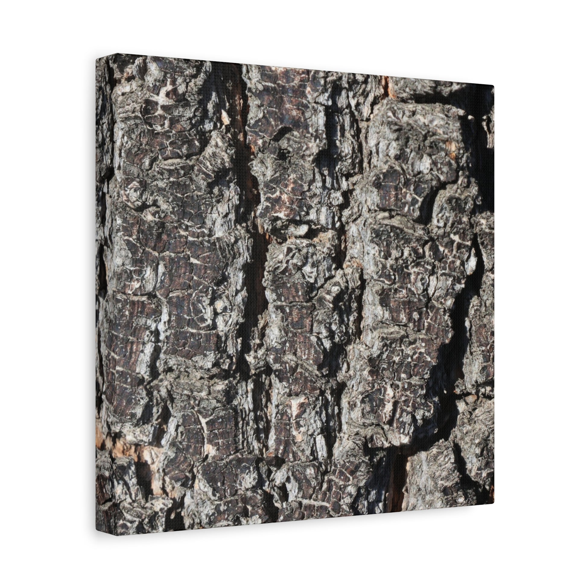 Cracked Skin of Earth - Unique Frameless Canvas Wall Art - Art By Earth