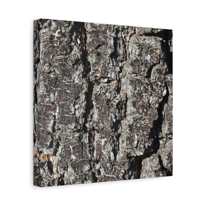 Cracked Skin of Earth - Unique Frameless Canvas Wall Art - Art By Earth