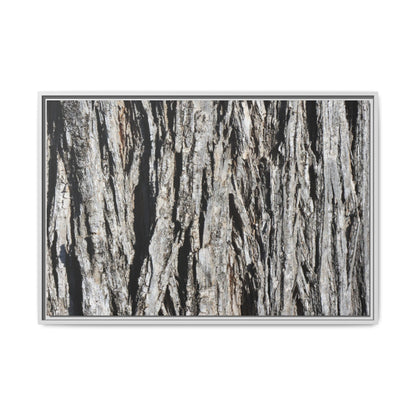 Nature's Abstract - Unique Stretched Canvas Wall Art - Art By Earth