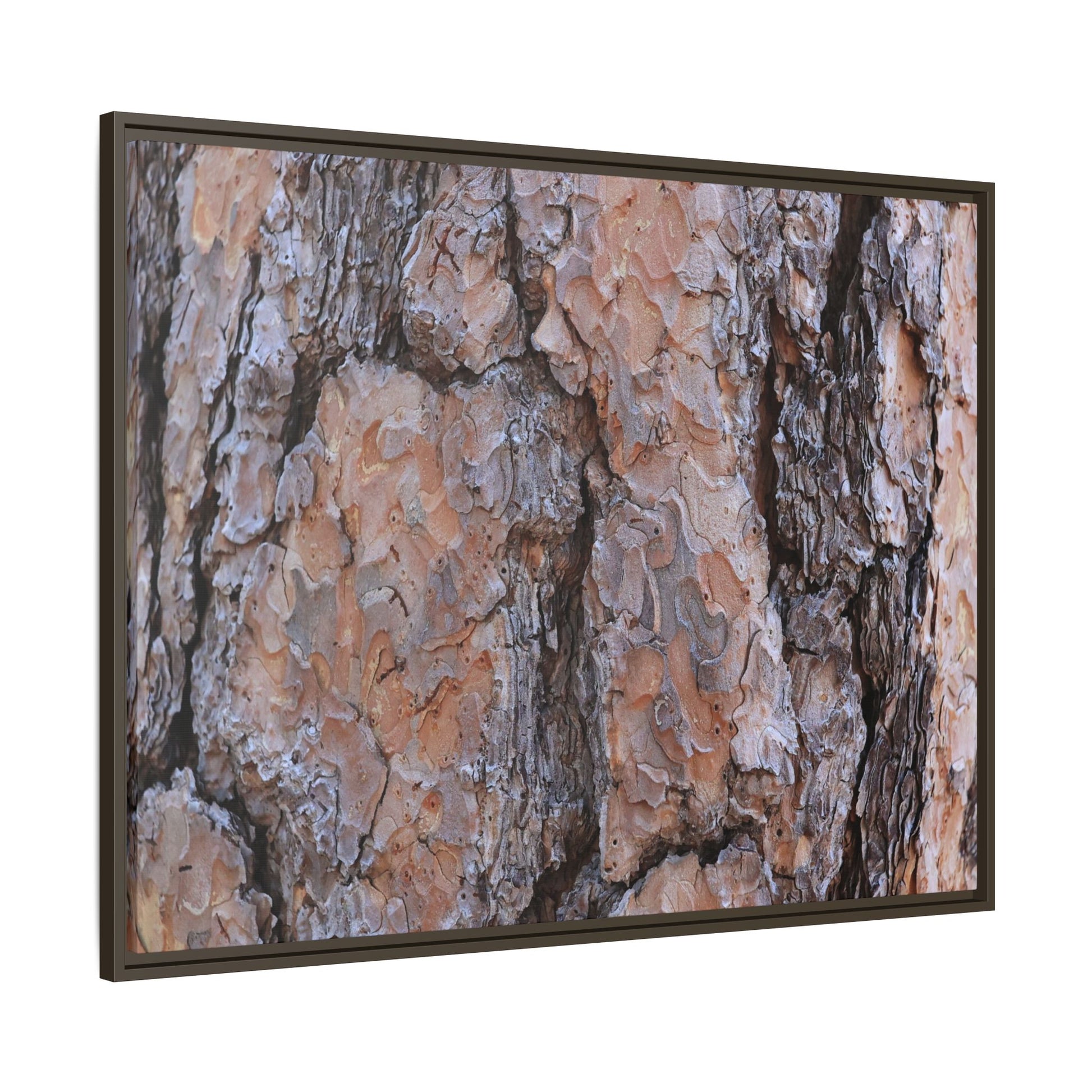 Tree Skin Symphony - Unique Stretched Canvas Wall Art - Art By Earth