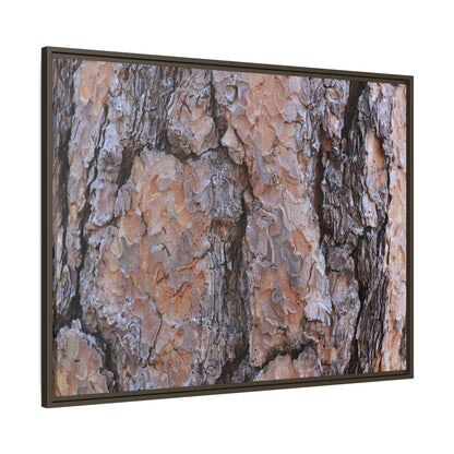 Tree Skin Symphony - Unique Stretched Canvas Wall Art - Art By Earth