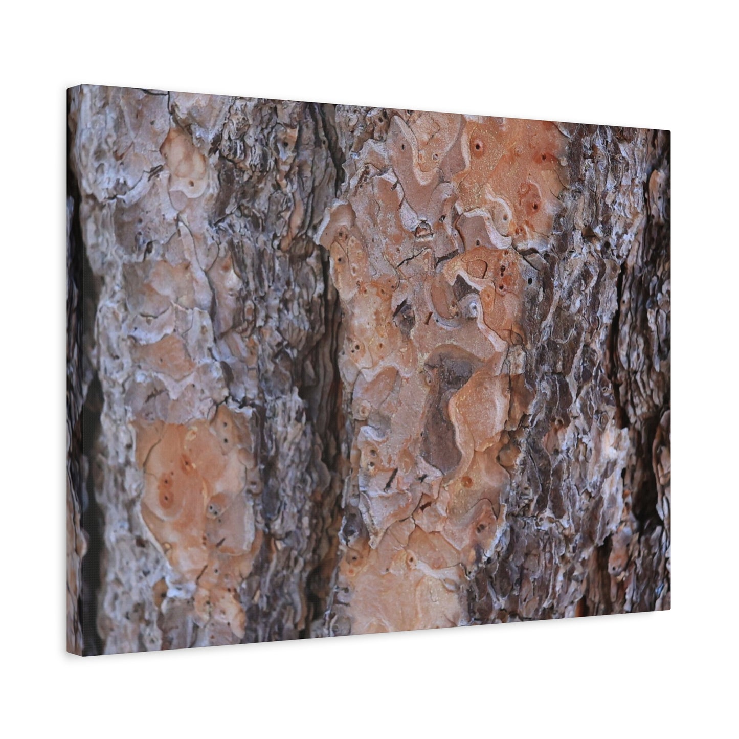 Terracotta Textures - Unique Frameless Canvas Wall Art - Art By Earth