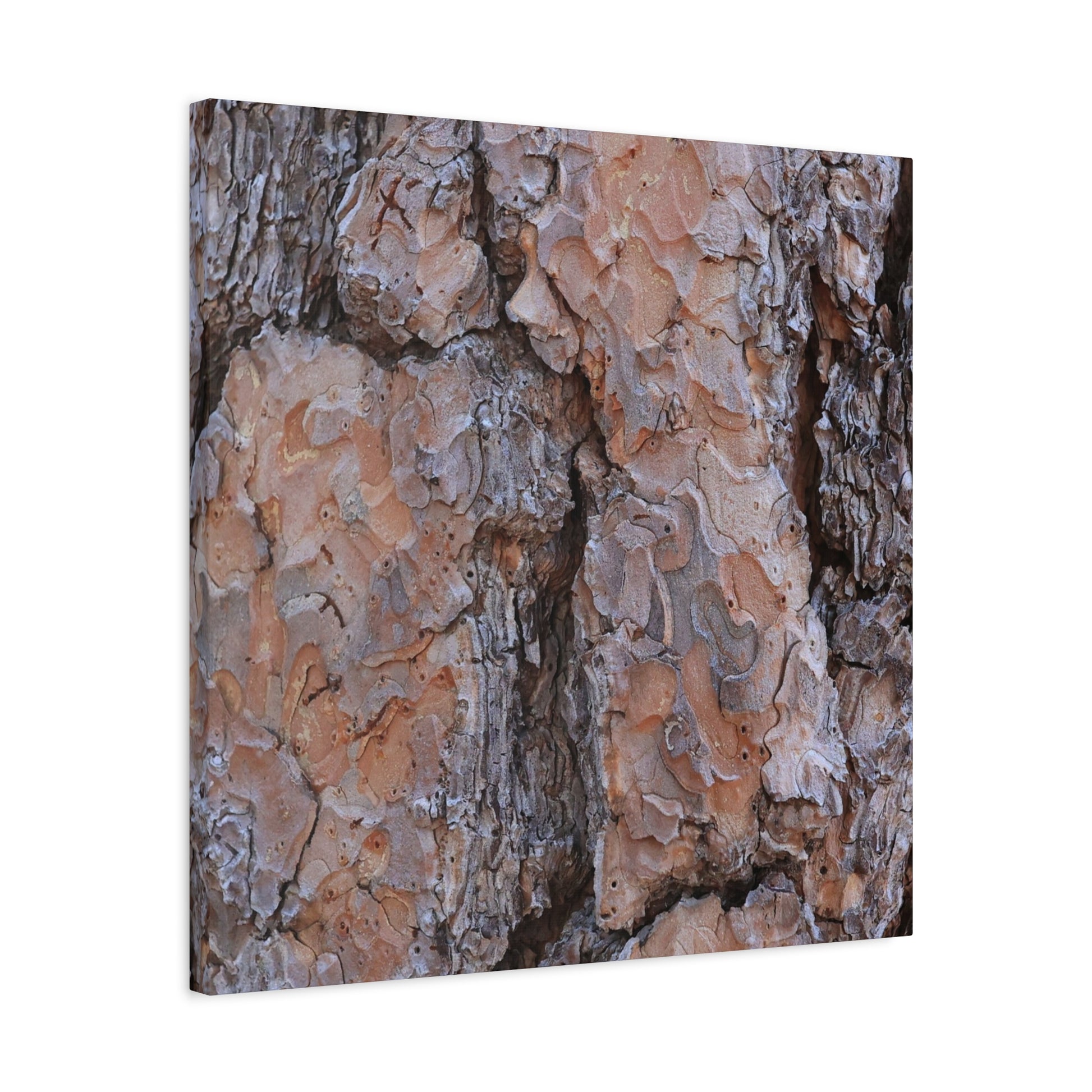 Arboreal Armor - Unique Frameless Canvas Wall Art - Art By Earth