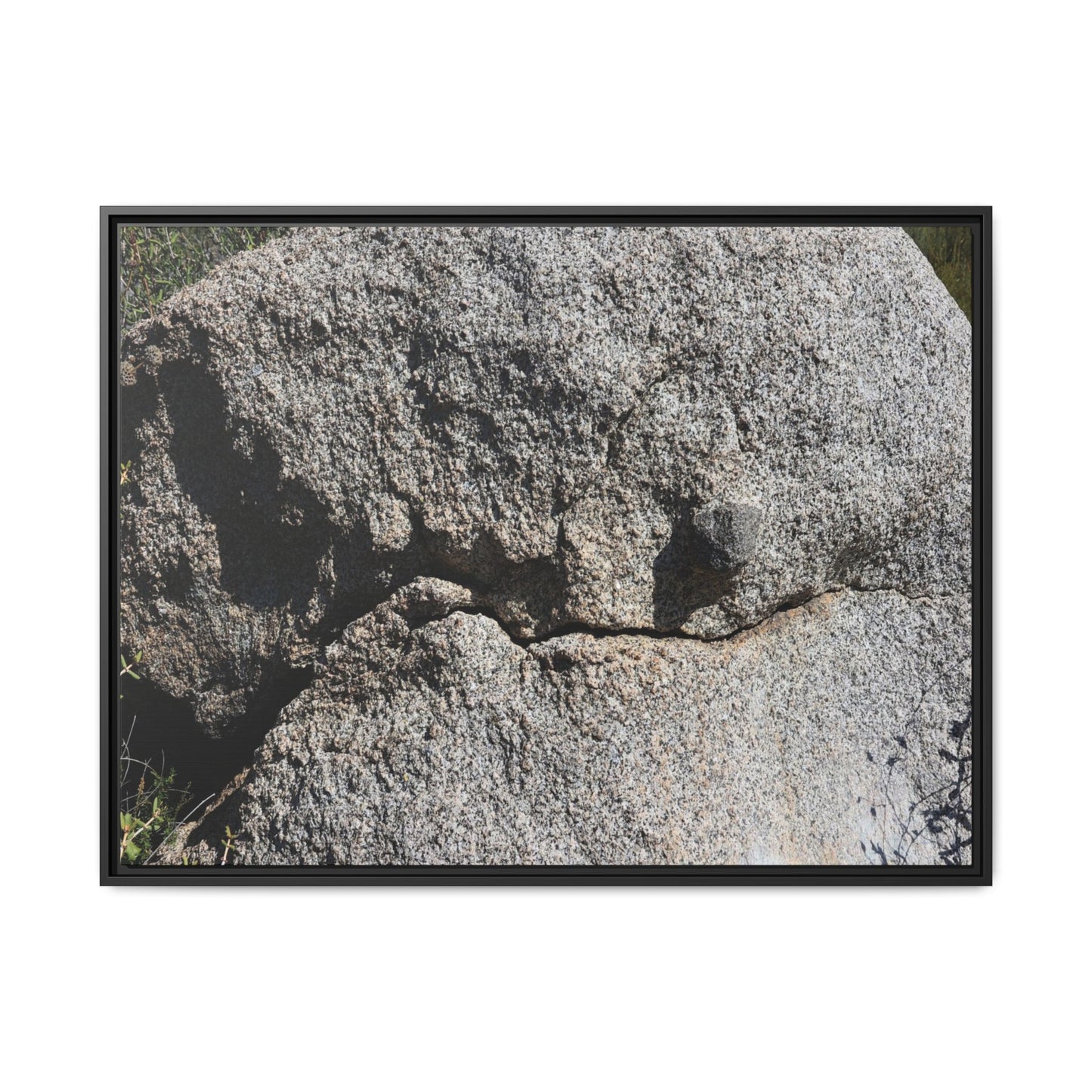 Stone Skull in Desert - Unique Stretched Canvas Wall Art