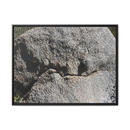 Stone Skull in Desert - Unique Stretched Canvas Wall Art