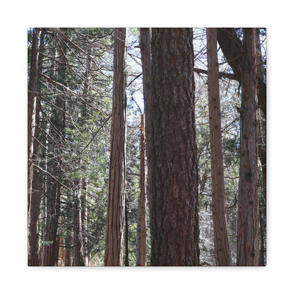 Vertical Sentinels - Unique Frameless Canvas Wall Art - Art By Earth