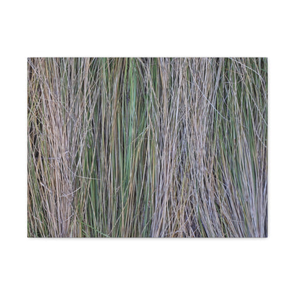 Whispers of Grass - Unique Frameless Canvas Wall Art - Art By Earth