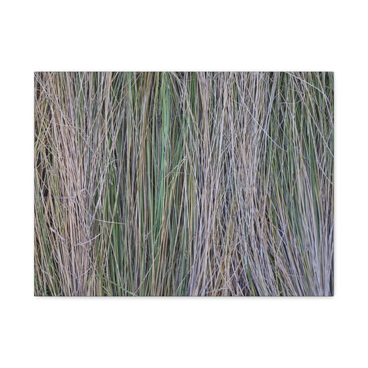 Whispers of Grass - Unique Frameless Canvas Wall Art - Art By Earth