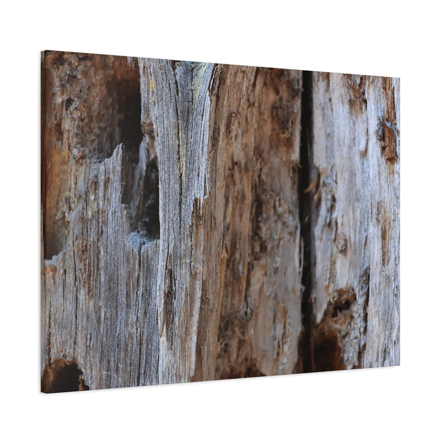 Timber Tapestry - Unique Frameless Canvas Wall Art - Art By Earth