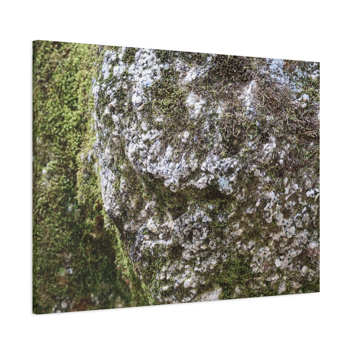 Moss and Stone Whispers - Unique Frameless Canvas Wall Art - Art By Earth