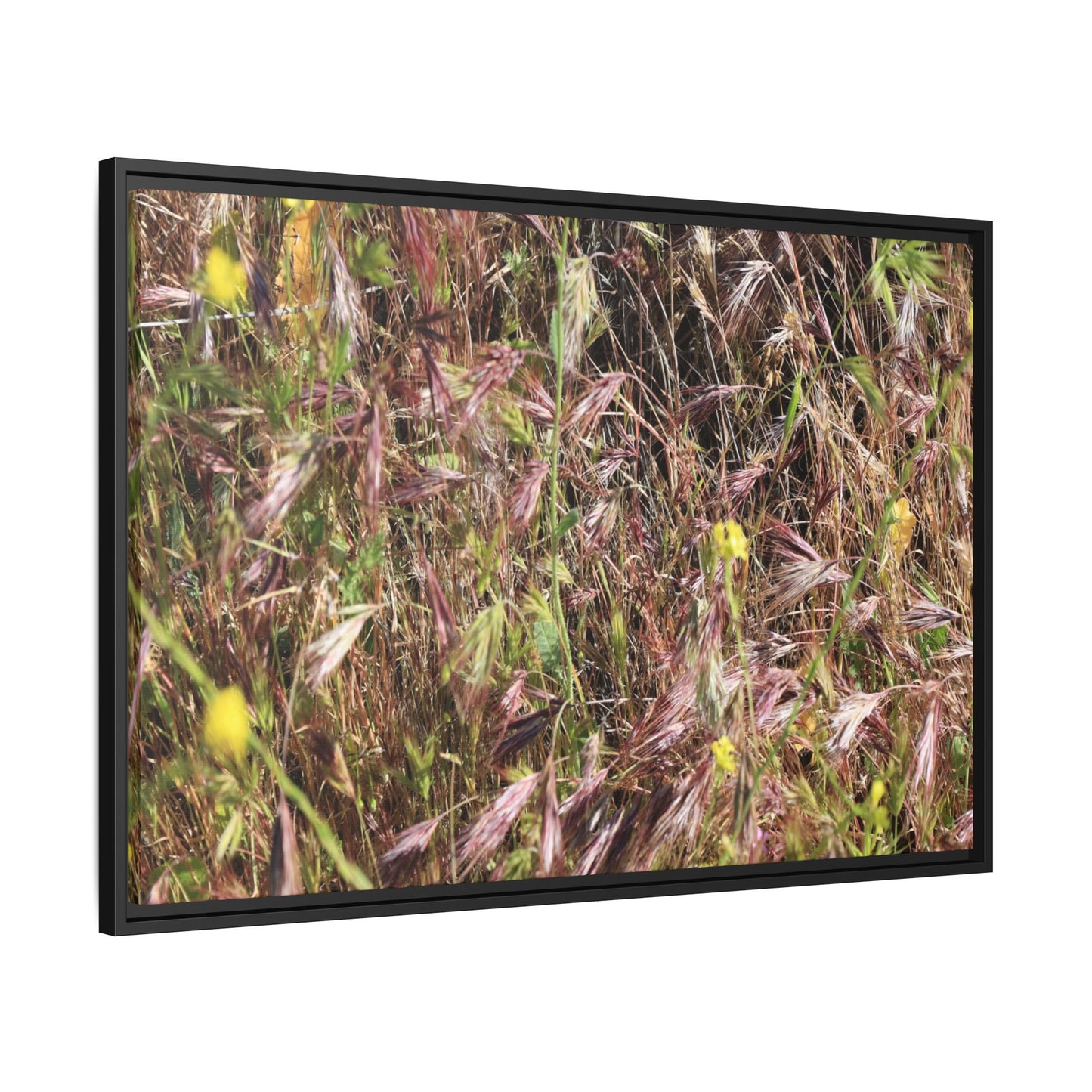 Autumn Meadow - Unique Stretched Canvas Wall Art - Art By Earth