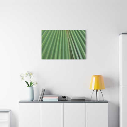 Fan of Green - Unique Frameless Canvas Wall Art - Art By Earth