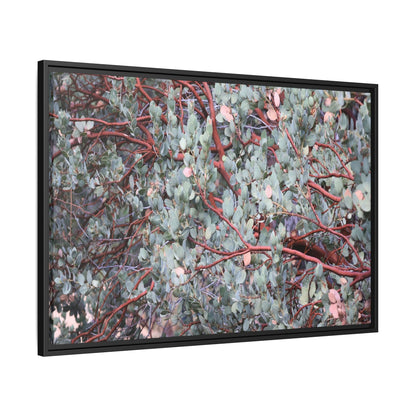 Whispers of Sage - Unique Stretched Canvas Wall Art - Art By Earth