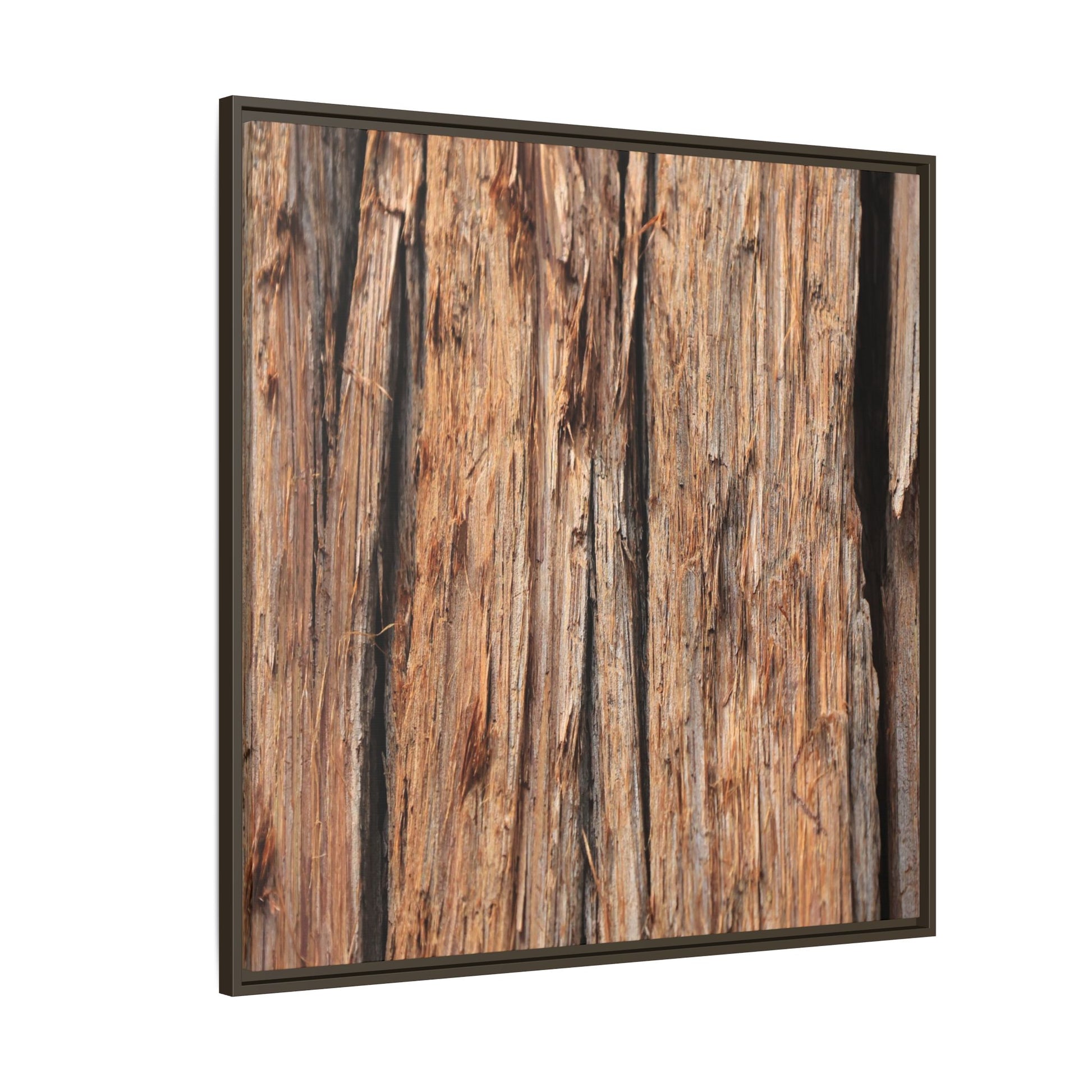 Timber Echoes - Unique Stretched Canvas Wall Art - Art By Earth