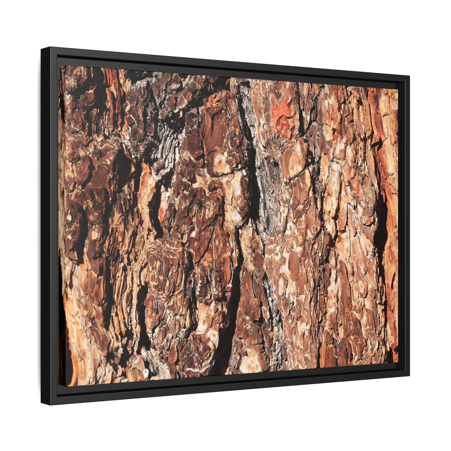 Nature's Rugged Canvas - Unique Stretched Canvas Wall Art