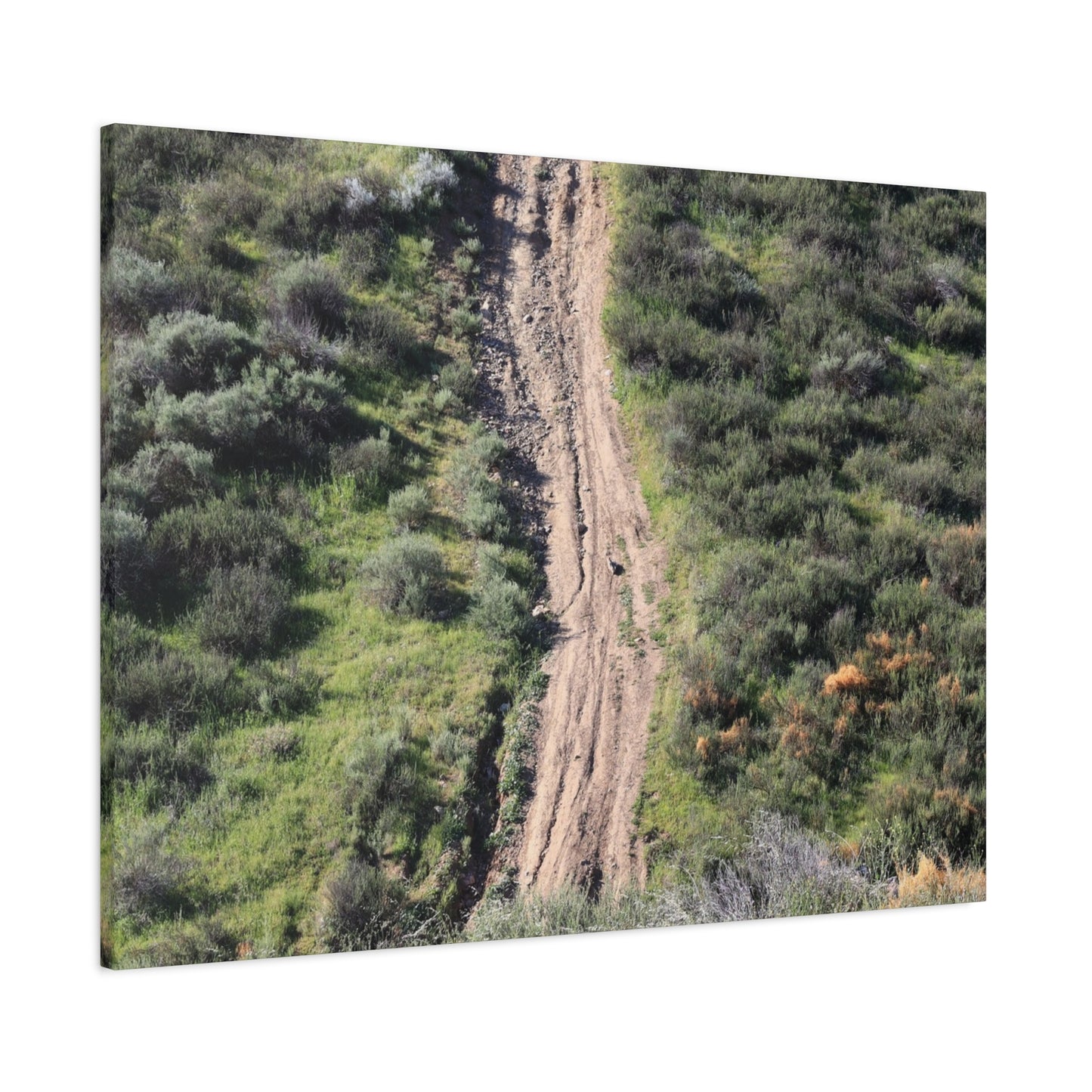 Straight Road Cutting Through Wilderness - Unique Frameless Canvas Wall Art - Art By Earth