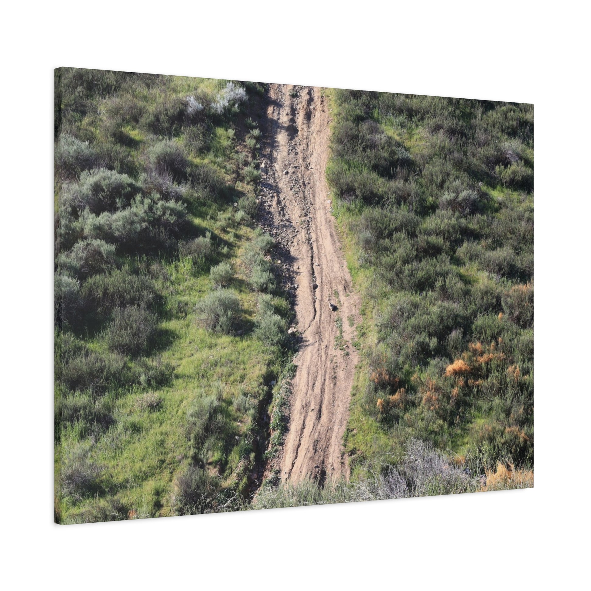 Straight Road Cutting Through Wilderness - Unique Frameless Canvas Wall Art - Art By Earth