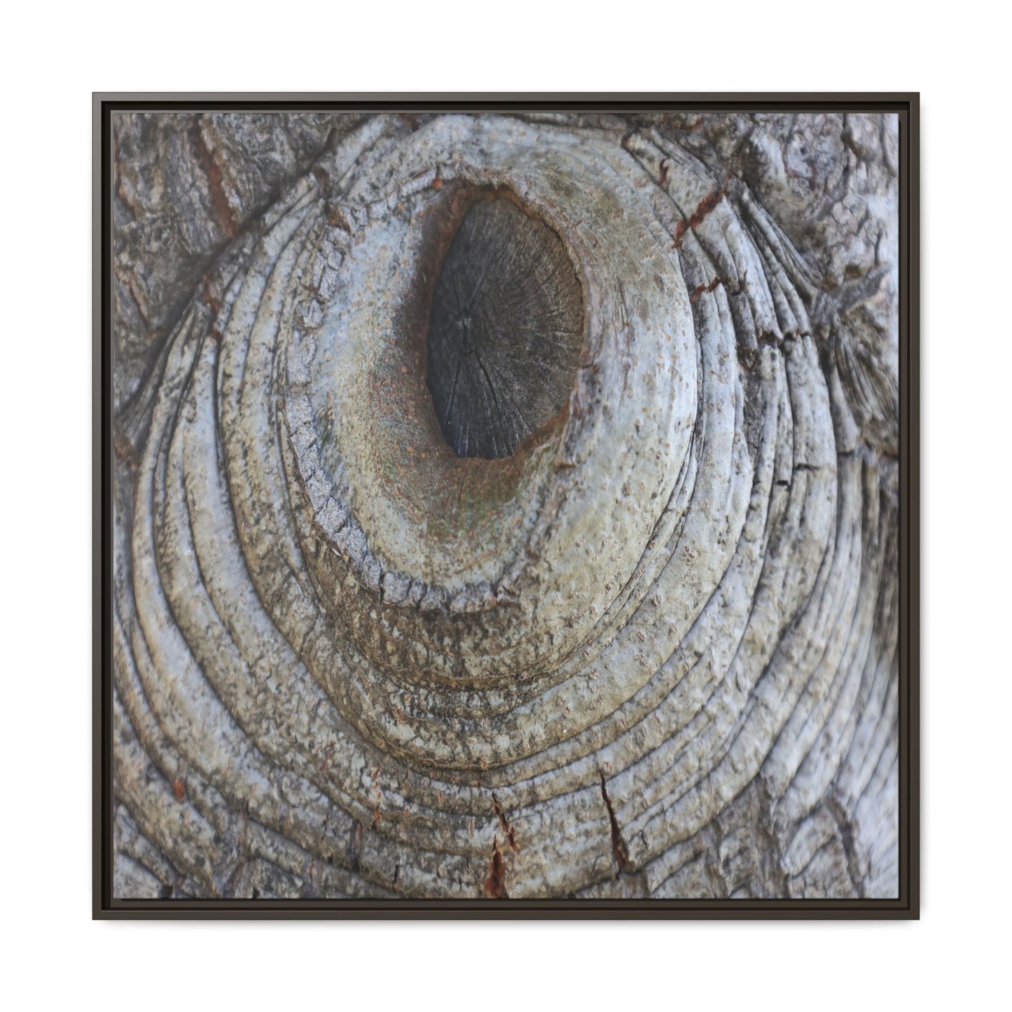 Echoes of Time - Unique Stretched Canvas Wall Art - Art By Earth