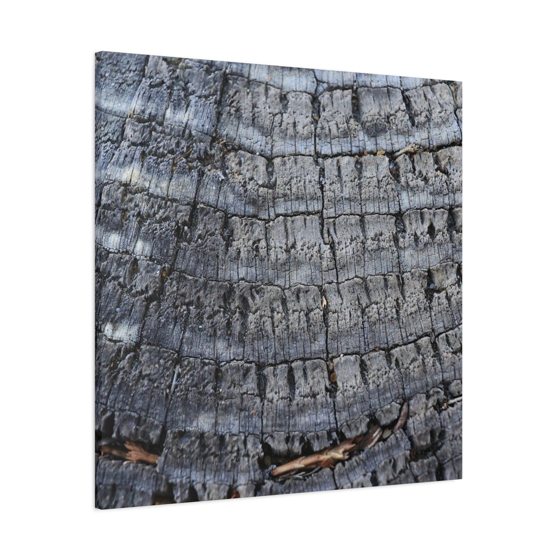 Whispers of Age - Unique Frameless Canvas Wall Art - Art By Earth