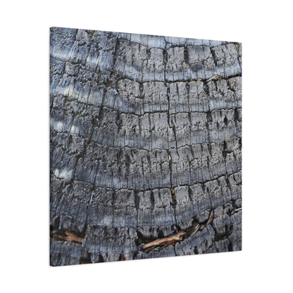 Whispers of Age - Unique Frameless Canvas Wall Art - Art By Earth