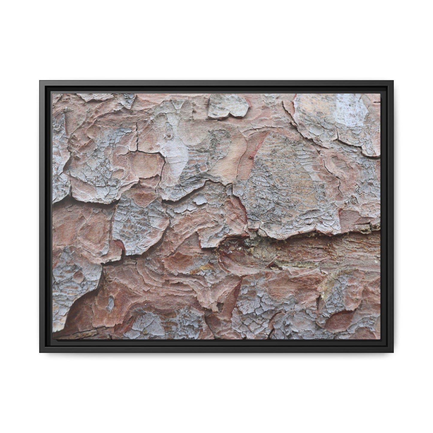 Flaking Serenity - Unique Stretched Canvas Wall Art - Art By Earth