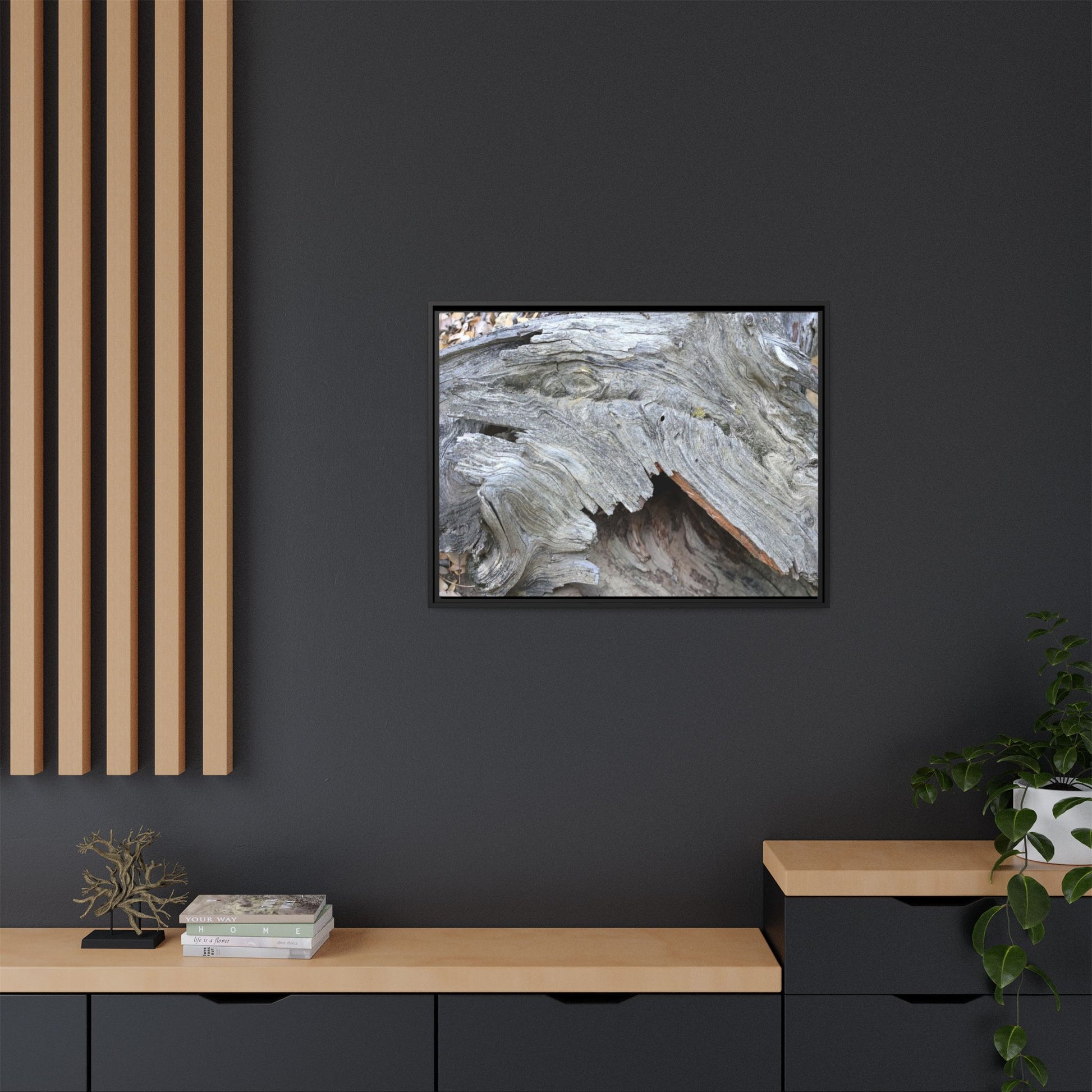 Driftwood Dreams - Unique Stretched Canvas Wall Art - Art By Earth