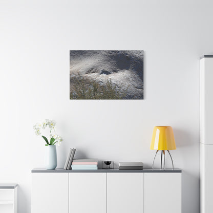 Stone Face in Nature - Unique Frameless Canvas Wall Art