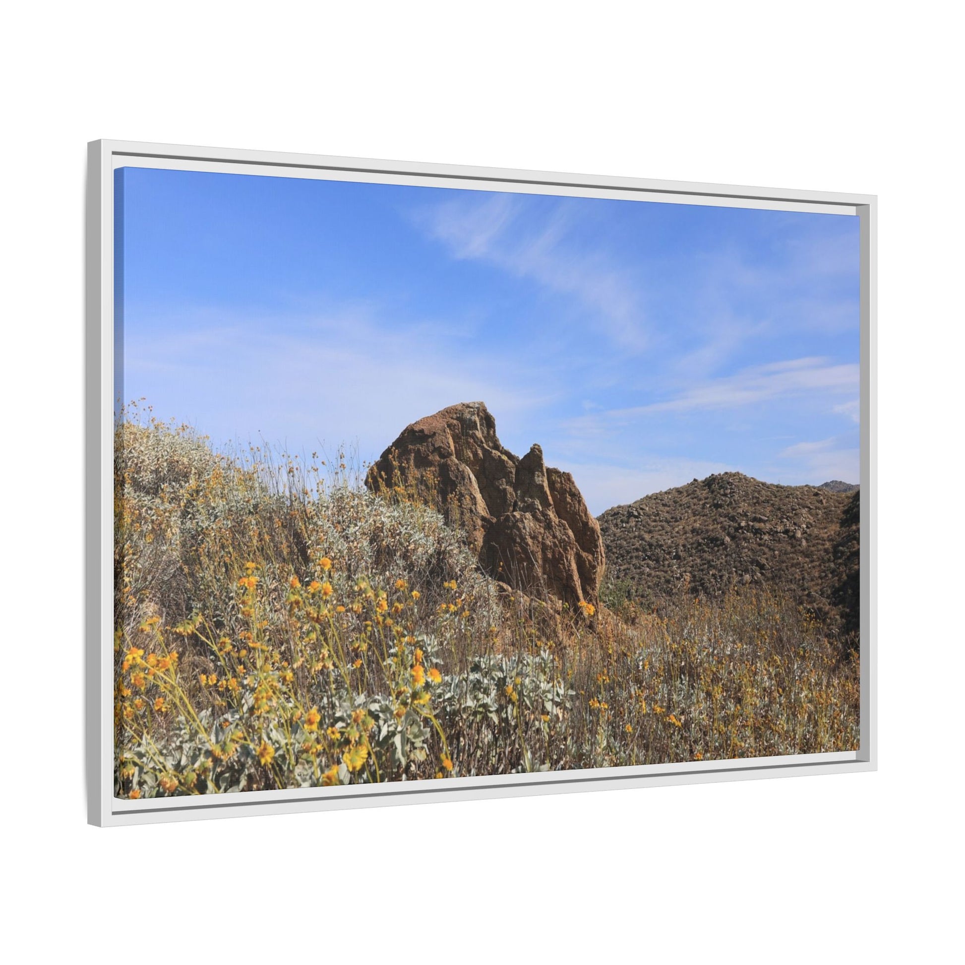 Golden Flowers in Arid Landscape - Unique Stretched Canvas Wall Art - Art By Earth