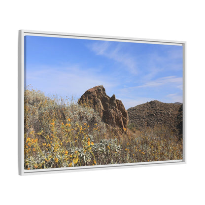 Golden Flowers in Arid Landscape - Unique Stretched Canvas Wall Art - Art By Earth