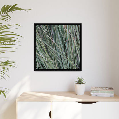 Grassland Symphony - Unique Stretched Canvas Wall Art - Art By Earth