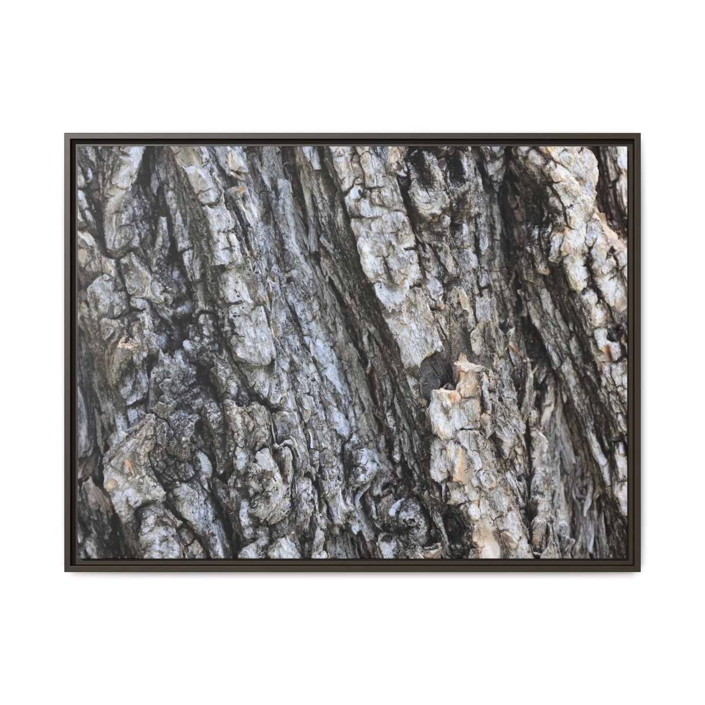 Twisted Textures - Unique Stretched Canvas Wall Art - Art By Earth