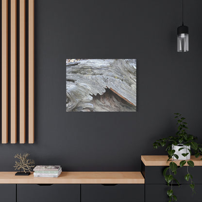 Whispers of Ancient Wood - Unique Frameless Canvas Wall Art - Art By Earth
