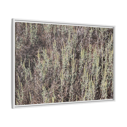 Sage Fields Forever - Unique Stretched Canvas Wall Art - Art By Earth