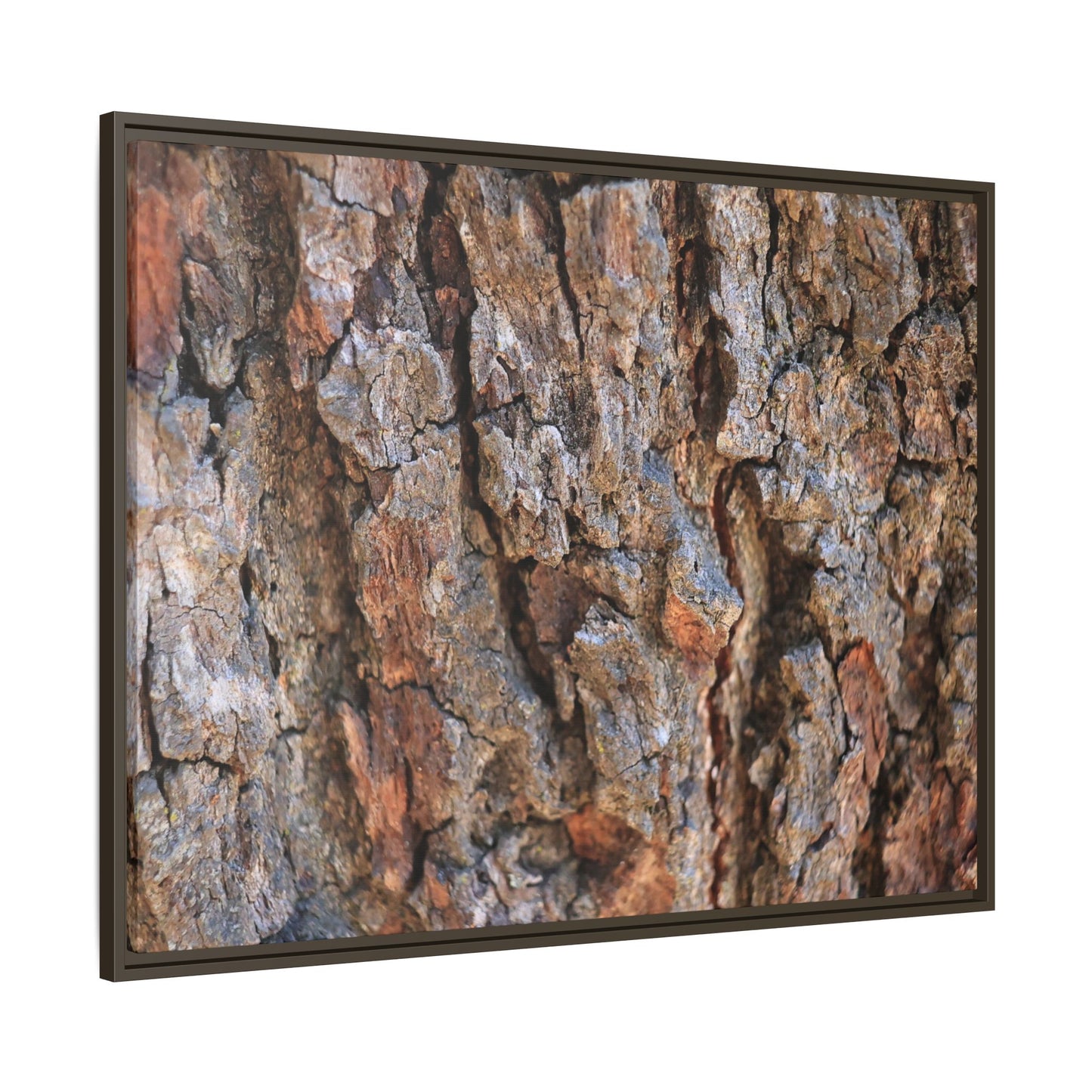 Craggy Textures - Unique Stretched Canvas Wall Art - Art By Earth