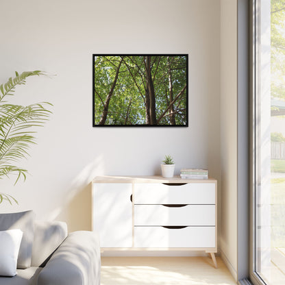 Forest Branches - Unique Stretched Canvas Wall Art