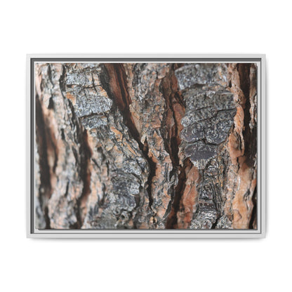 Fractured Nature - Unique Stretched Canvas Wall Art - Art By Earth