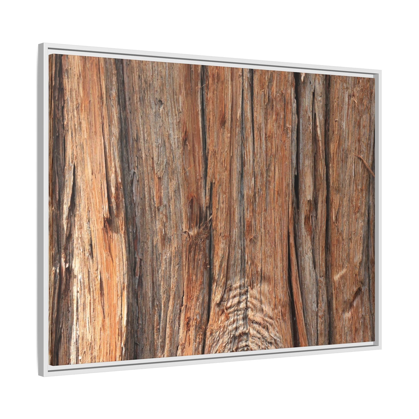 Echoes of Timber - Unique Stretched Canvas Wall Art - Art By Earth