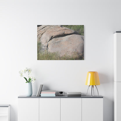 Granite Boulder in Desert Scrub - Unique Frameless Canvas Wall Art - Art By Earth