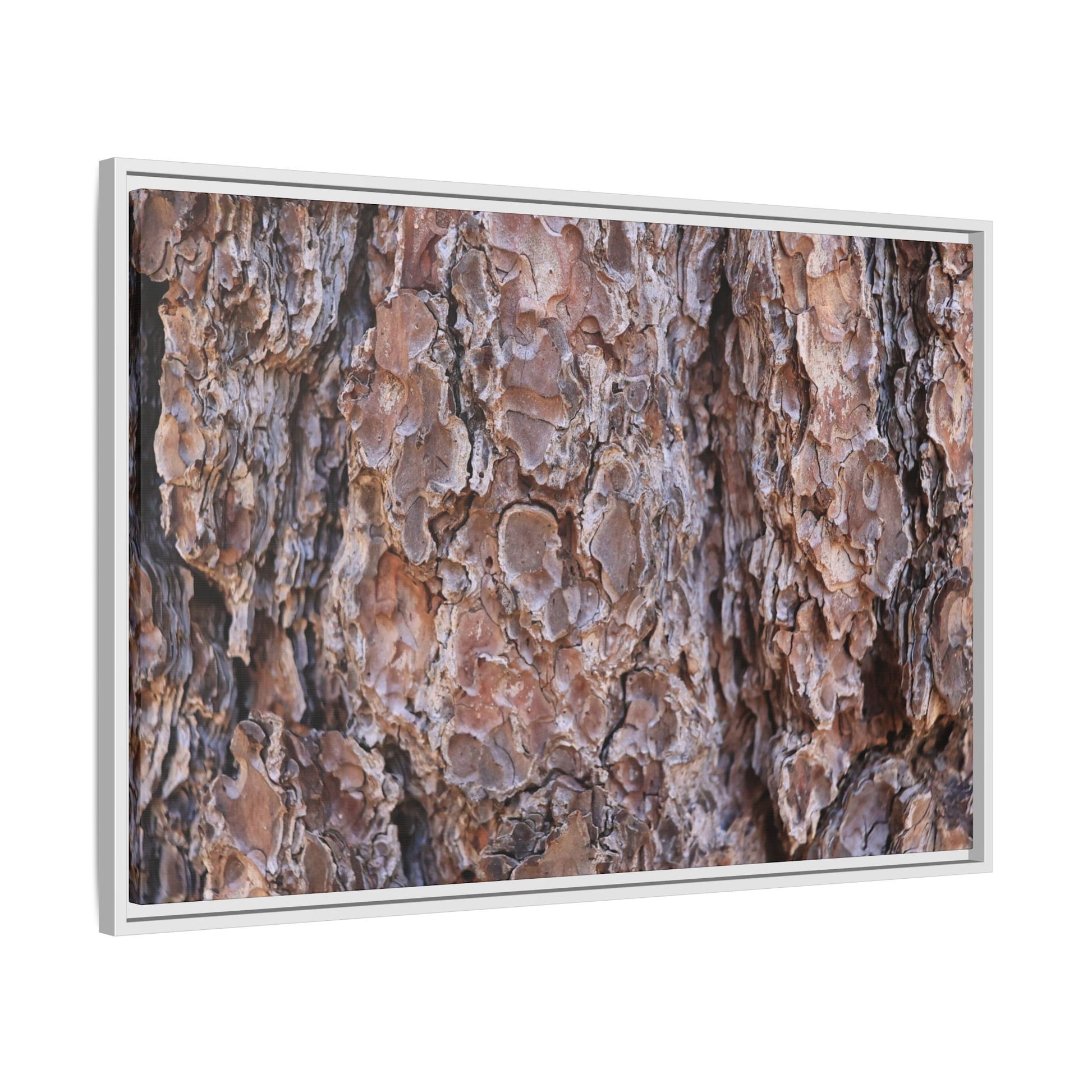 Woody Layers - Unique Stretched Canvas Wall Art - Art By Earth