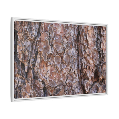 Woody Layers - Unique Stretched Canvas Wall Art - Art By Earth