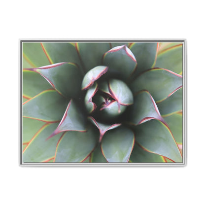 Spiky Elegance - Unique Stretched Canvas Wall Art - Art By Earth