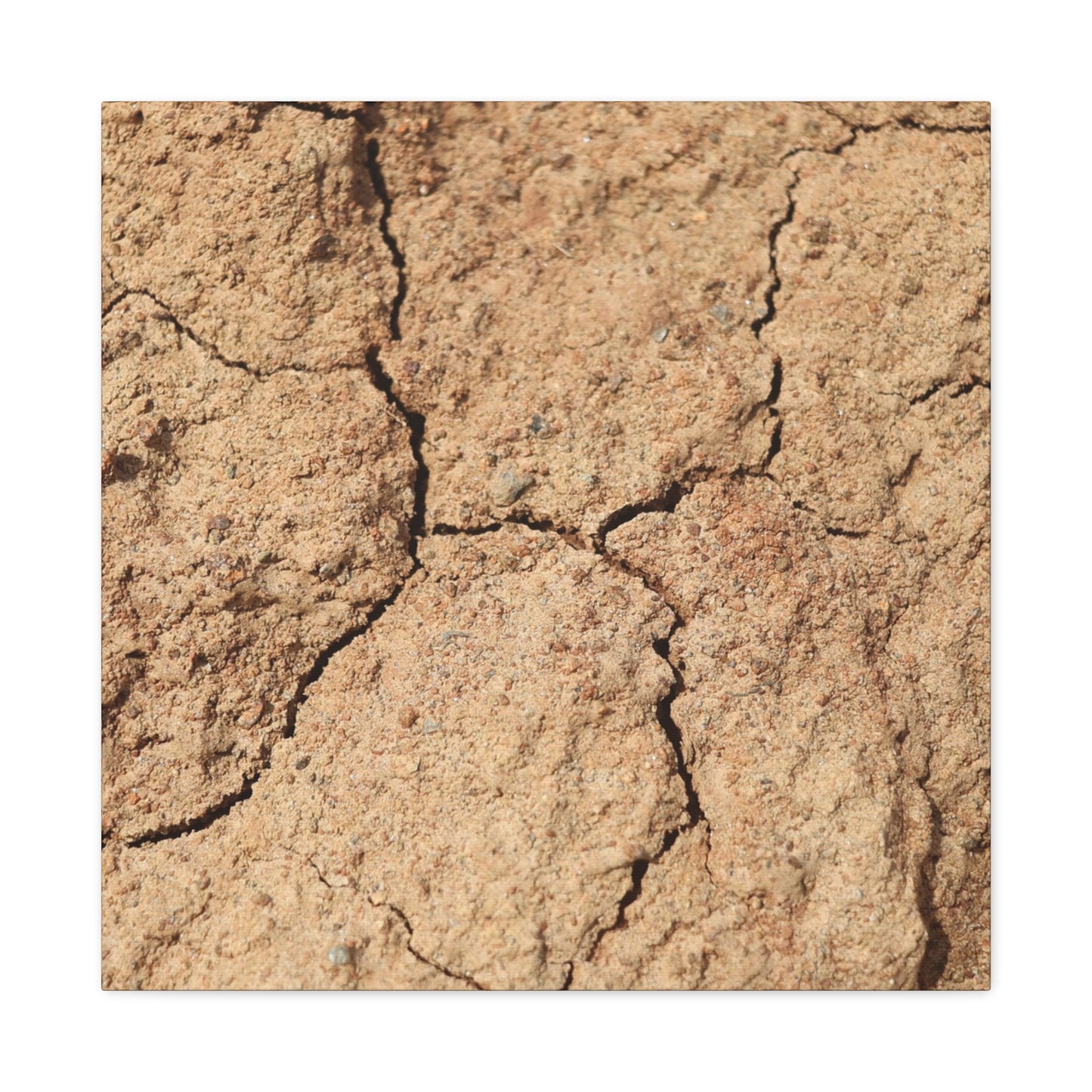 Cracked Earth's Lament - Unique Frameless Canvas Wall Art - Art By Earth