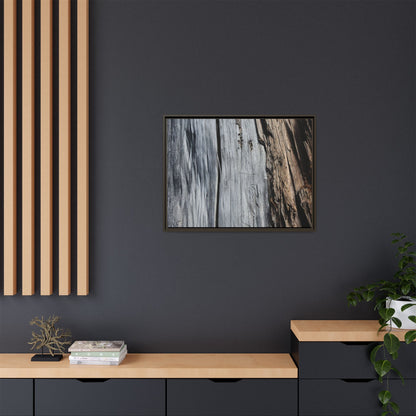 Wood's Lament - Unique Stretched Canvas Wall Art - Art By Earth