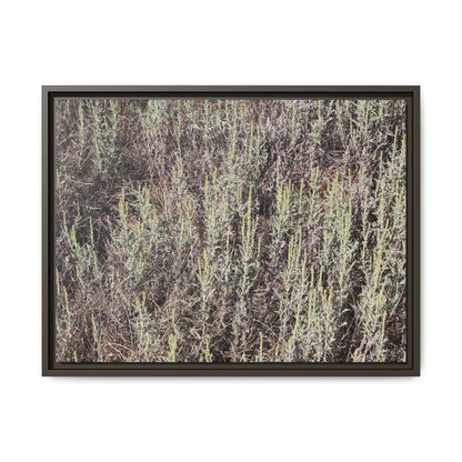 Sage Fields Forever - Unique Stretched Canvas Wall Art - Art By Earth