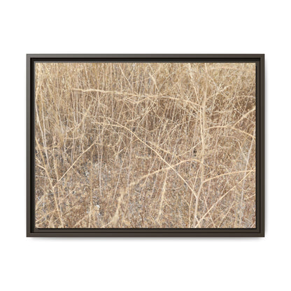 Golden Stalks - Unique Stretched Canvas Wall Art - Art By Earth