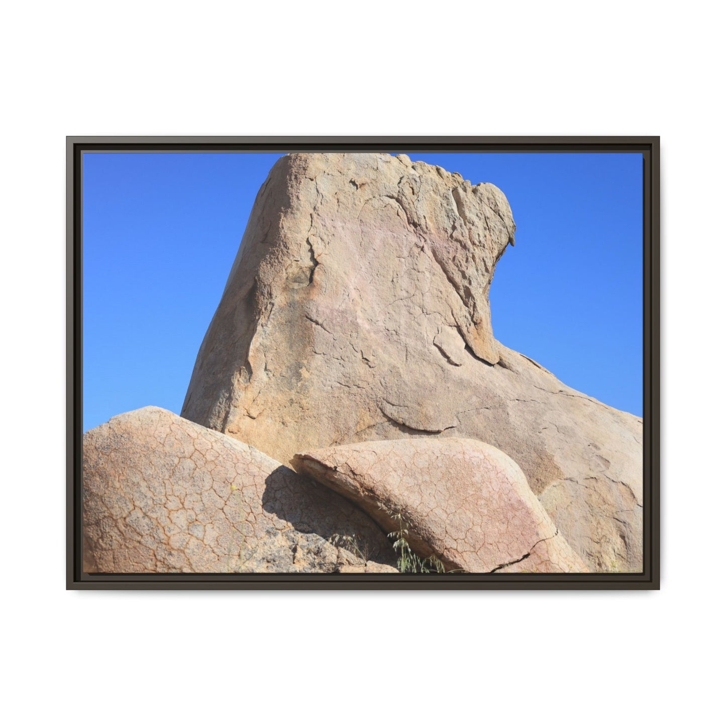 Rocky Sentinel - Unique Stretched Canvas Wall Art - Art By Earth